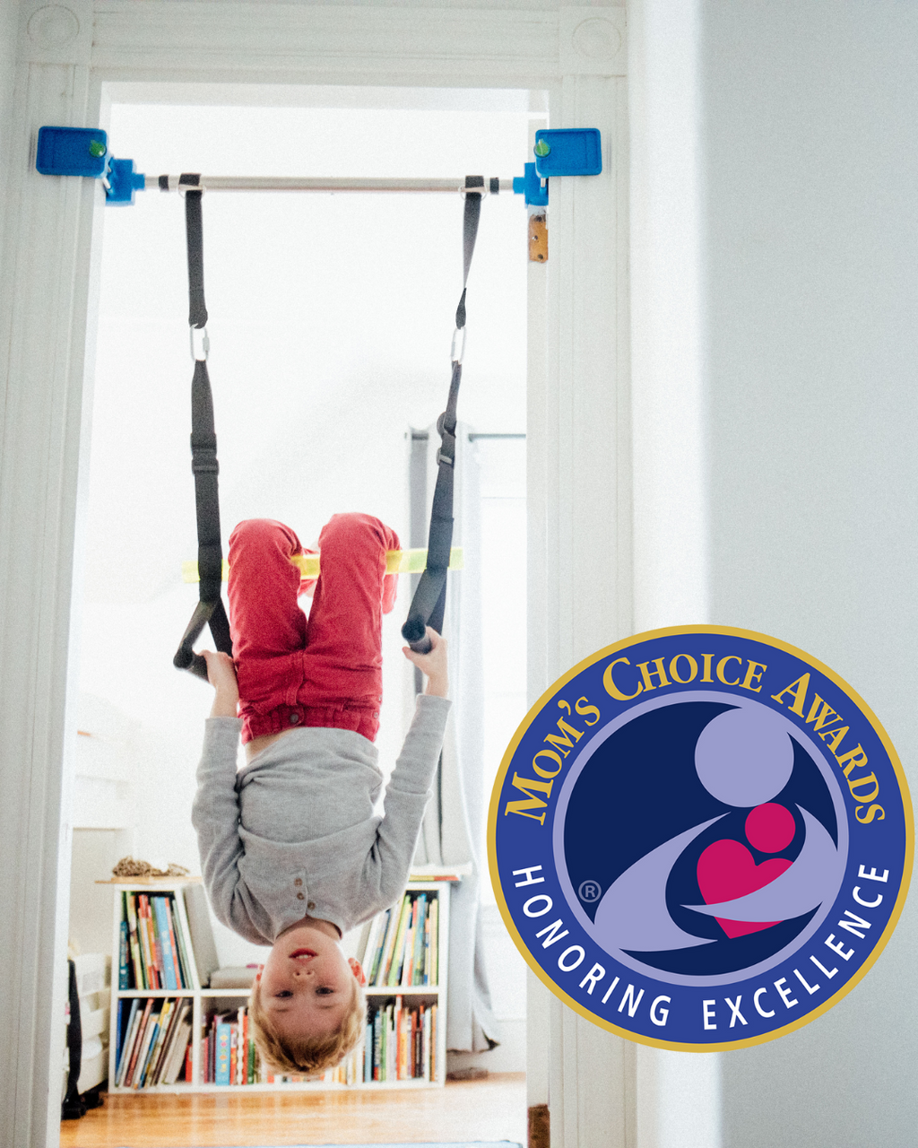 Kidtrix™ Deluxe Doorway Swing Open Box