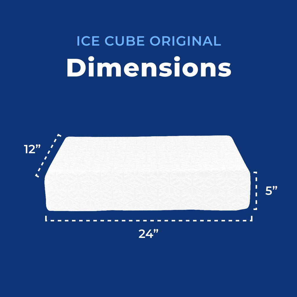 Ice Cube Original